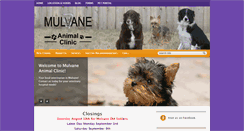 Desktop Screenshot of mulvaneanimalclinic.com